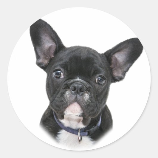 Hondenras van Bulldog Ronde Sticker (Voorkant)