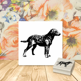 Hondenras voor labrador Retriever Rubberstempel