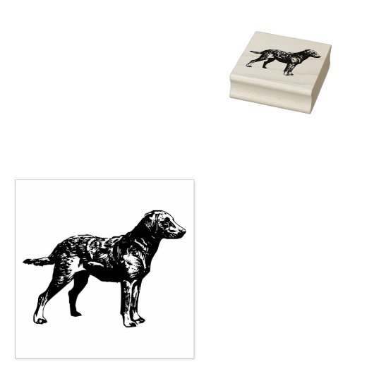 Hondenras voor labrador Retriever Rubberstempel (Gestempeld)
