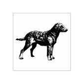 Hondenras voor labrador Retriever Rubberstempel (Afrduk)