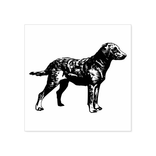 Hondenras voor labrador Retriever Rubberstempel (Afrduk)