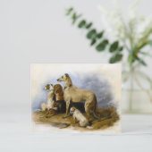  Hondenrassen afdrukken Briefkaart (Staand voorkant)