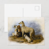  Hondenrassen afdrukken Briefkaart (Voorkant / Achterkant)