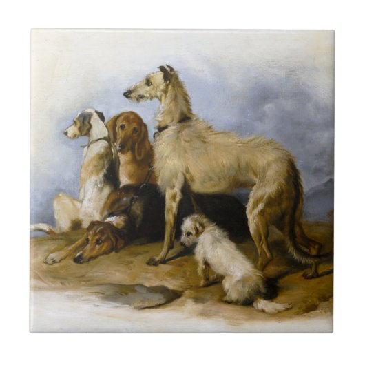  Hondenrassen afdrukken Tegeltje (Voorkant)