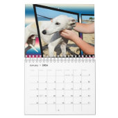 Hondenrassen, agenda kalender (Jan 2026)