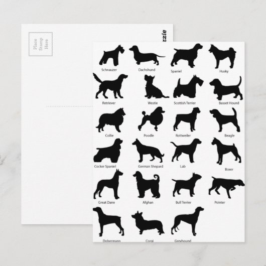 Hondenrassen Briefkaart (Voorkant / Achterkant)