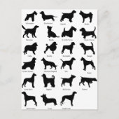 Hondenrassen Briefkaart (Voorkant)