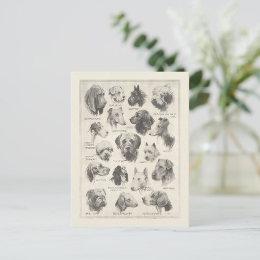  hondenrassen briefkaart (Staand voorkant)