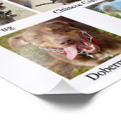 Hondenrassen Chart Poster (Hoek)