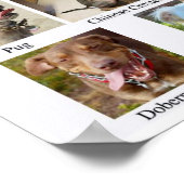 Hondenrassen Chart Poster (Hoek)