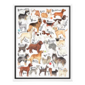 Hondenrassen Foto Afdruk (Voorkant)