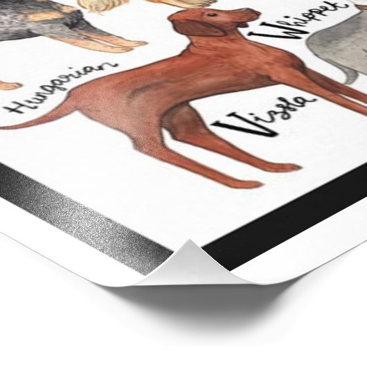 Hondenrassen Foto Afdruk (Hoek)