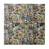 Hondenrassen fotocollage, tegeltje (Voorkant)