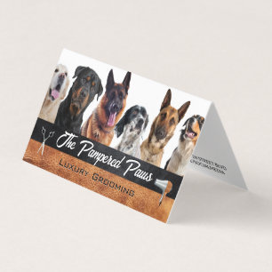 Hondenrassen   Hulpmiddelen voor het verzorgen van Visitekaartje