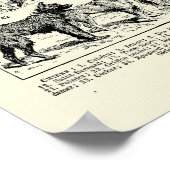  Hondenrassen Illustraties van Adolphe Millot Poster (Hoek)