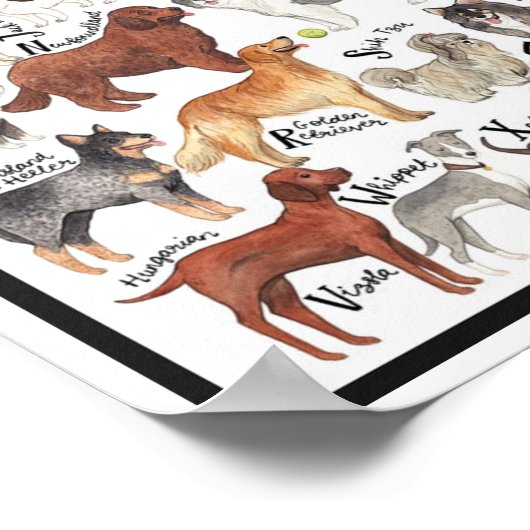 Hondenrassen Poster (Hoek)