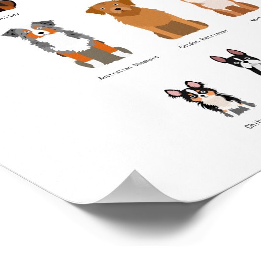 Hondenrassen poster. poster (Hoek)