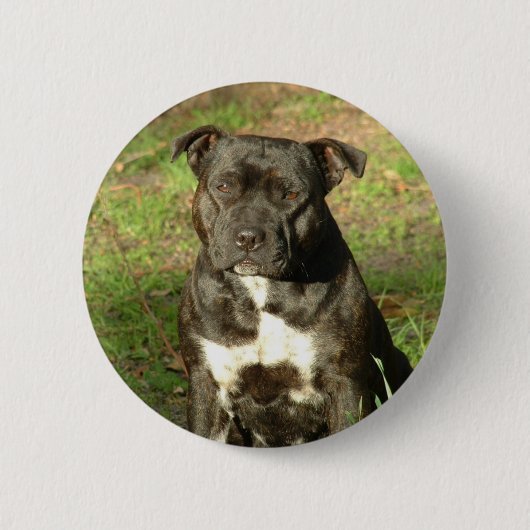 Hondenrassen Staffy Ronde Button 5,7 Cm (Voorkant)