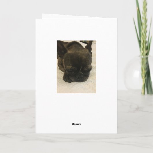 Hondenscheet Kaart (Achterkant)