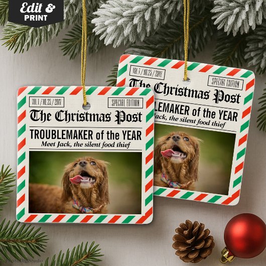 Hondenschurk Van Het Jaar Kerstkrant Keramisch Ornament
