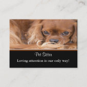 Hondensitter Ruby Cavalier King Charles Spaniel  Visitekaartje (Voorkant)