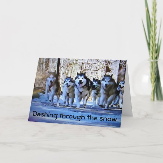 HONDENSLEE DIE DOOR DE SNEEUW STROOMT FEESTDAGEN KAART (Voorkant)