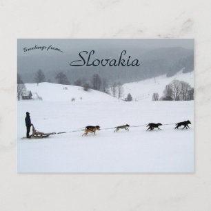 Hondenslee-team in de winter in Slowakije Briefkaart