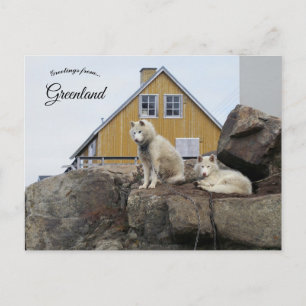 Hondensleeën in Upernavik Groenland Briefkaart