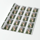 Hondensokken Cadeaupapier (Uitgerold)