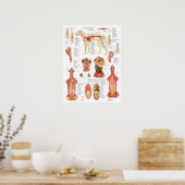 Hondenspieren slagaders Anatomie Chart Poster (Keuken)