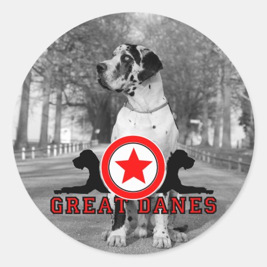 Hondenstickers Ronde Sticker (Voorkant)