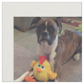 hondenstokjes stof (Close Up)