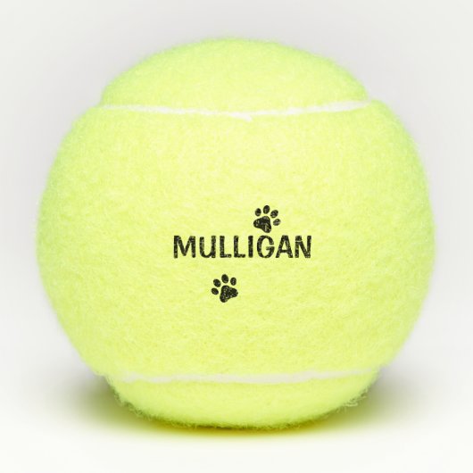 Hondentennisbal Tennisballen (Voorkant)