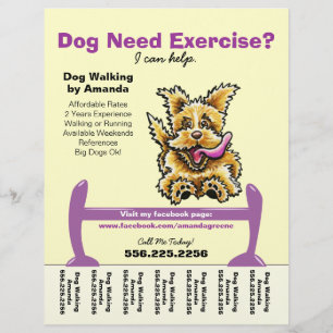 HondenTrainer Opleiding Actief Terrier Tranenblad Flyer