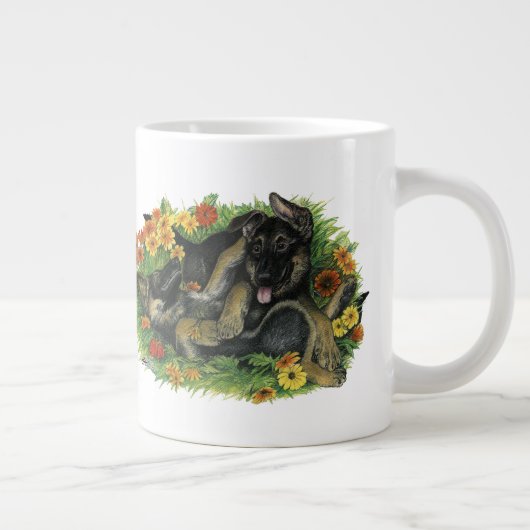 Hondentuin Grote Koffiekop (Rechts)