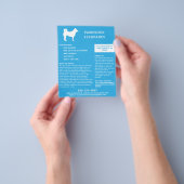 Hondenuitlater & Huisdieroppasser Teal Flyer (Hand)