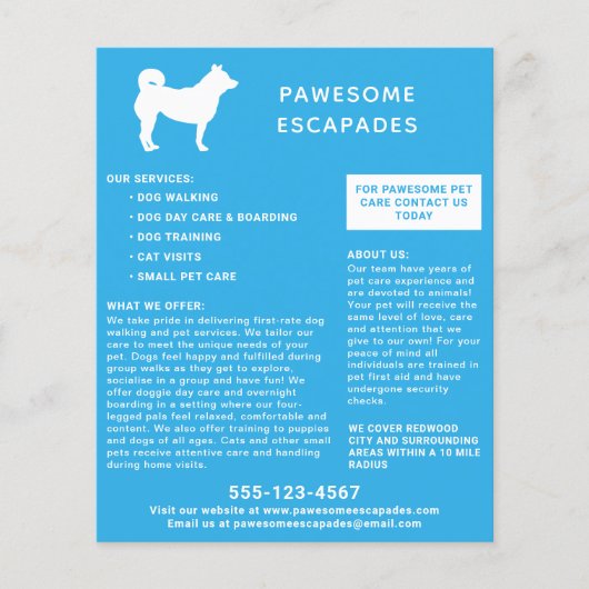 Hondenuitlater & Huisdieroppasser Teal Flyer (Voorkant)