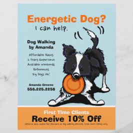 Hondenuitlater Loopadvertentie Rand Collie Flyer