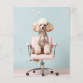 Hondenverzorger  flyer (Achterkant)