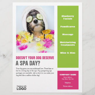 Hondenverzorging Flyer-Spa Flyer