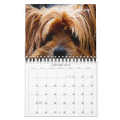 Hondenverzorging Pet Store Bedrijfskalender Kalender (Jan 2026)
