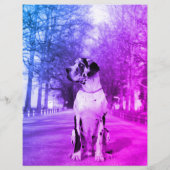hondenvliegers Great Dane of honden Flyer (Achterkant)