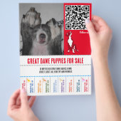 hondenvliegers Great Dane of honden Flyer (Hand)