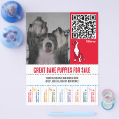 hondenvliegers Great Dane of honden Flyer (Enkel)