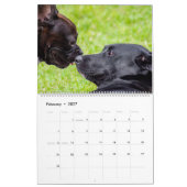 Hondenvrienden 2027 Dieren Muur Kalender (Feb 2027)