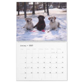 Hondenvrienden 2027 Dieren Muur Kalender (Jan 2027)