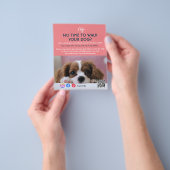 hondenwandelaar gezelschapsgezelschapsgezelschapsg flyer (Hand)