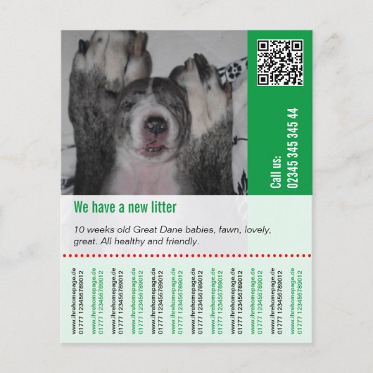 Hondenwelpen te koop flyer (Voorkant)