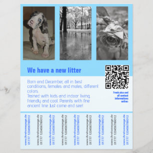 hondenwelpen te koop flyer met QR-code