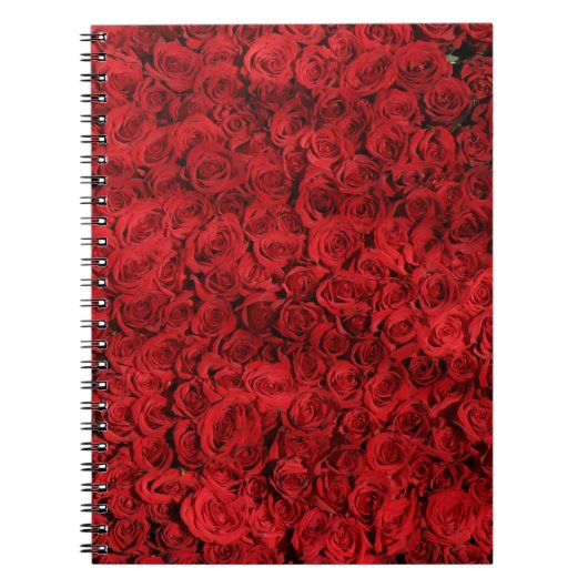 Honderden mooie rode rozen notitieboek (Voorkant)